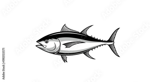 Tuna Fish Illustration, Marine Animal, Seafood, Ocean Life, Aquatic Creature