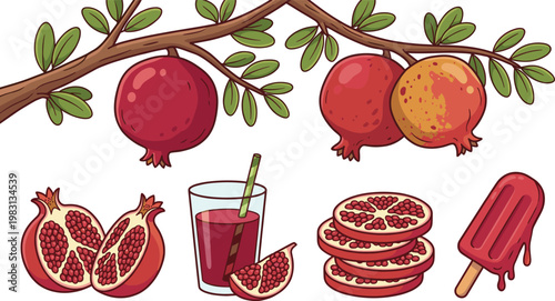 Pomegranate Vector Set with Tree Branch, Whole and Cut Fruits, Juice Glass, Seeds and Popsicle Illustrations for Organic Food and Healthy Lifestyle Design