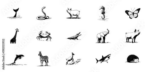 Animal Doodle Sketch Set. Diverse Wildlife Illustrations Featuring Marine, Terrestrial, And Aerial Creatures In Hand Drawn Style Collection. Nature And Biodiversity. Isolated Vector Illustration