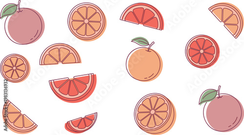 Citrus Fruit Illustration Set with Orange and Grapefruit Whole, Sliced, and Segmented Pieces for Fresh Food Design, Organic Products, and Healthy Lifestyle Concepts