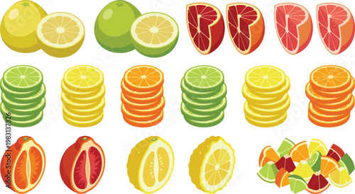 Citrus Fruit Vector Set with Lemon, Lime, Orange, and Grapefruit Whole, Sliced, Stacked, and Mixed Pieces for Fresh Food Design and Juice Concepts