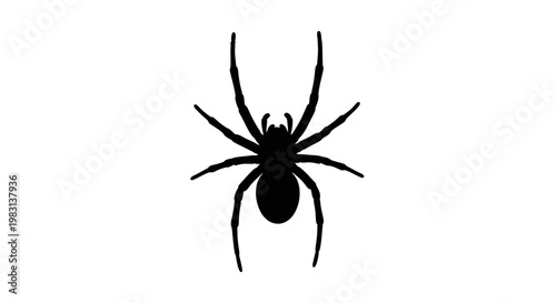 фотографія Black spider silhouette on white background, arachnid insect, graphic symbol
