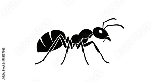 Black Ant Silhouette on White Background, Insect Illustration