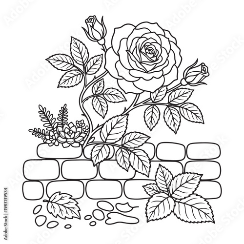 Beautiful rose garden coloring page for kids simple bold outline floral wall design fun art easy fun