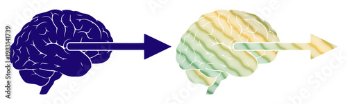 Abstract representation of the brain processing information and transferring knowledge.