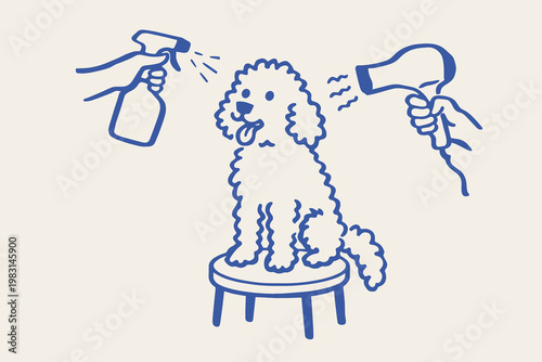 Dog grooming doodle vector illustration with poodle, spray bottle, hair dryer and salon hand drawn pet
