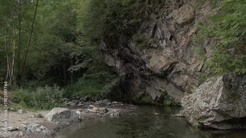 Cliff forest water pond rocks stone trees nature plants beauty afternoon