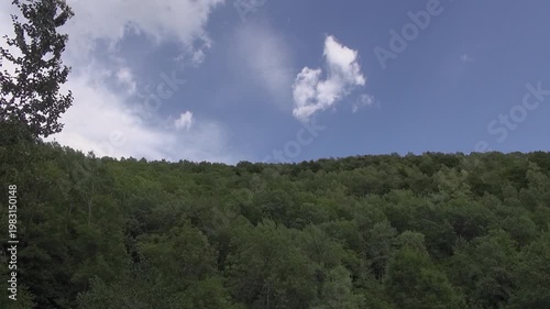 Trees sky clouds forest mountain nature blue brown beauty pines