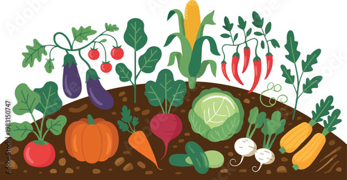 Stylized vector garden bed design featuring diverse vegetables including carrot radish cabbage and peppers in rich soil minimal flat style