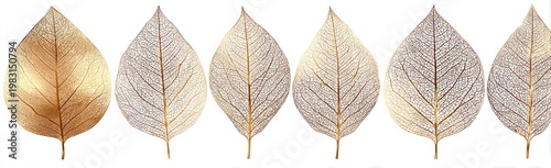 Gold & Silver Leaf Veins Delicate, transparent leaves in a row, gold to silver