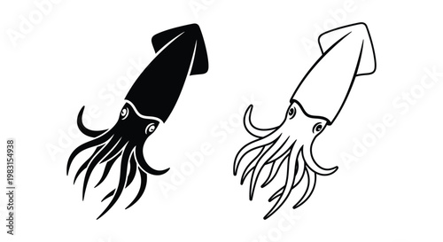 Elegant Squid Designs - Minimalist Art Prints Vector
