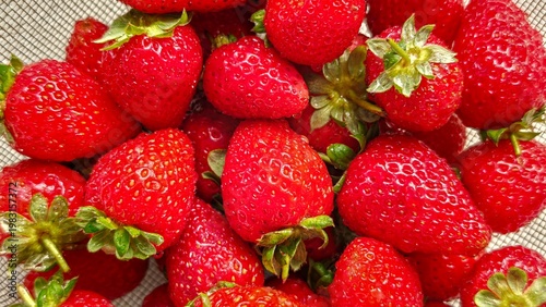 Fresh ripe strawberries in colander, top view of organic red strawberries, healthy summer fruit, natural food background, washed strawberries ready to eat, vibrant fresh berries texture