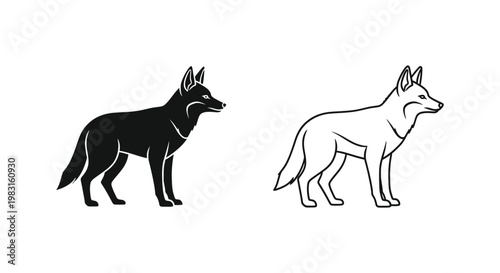 Black and White Wolf vs Coyote Illustration Vector