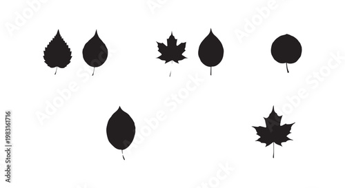 Collection of silhouette leaves, different shapes like maple and simple oval, representing nature.
