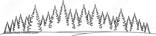 Pine forest landscape vector illustration, hand drawn evergreen trees line art isolated on white background for nature and outdoor design