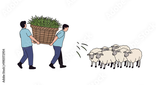 Two farmers carrying a basket of grass to feed a flock of sheep