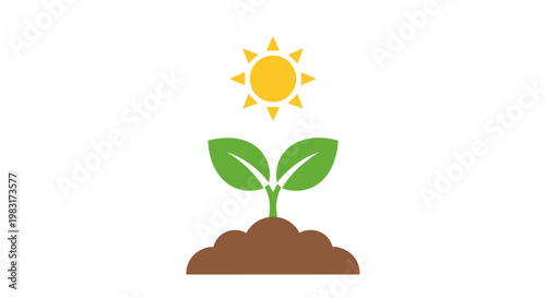Sunlight Nourishing Young Plant Growth from Soil, Symbolizing Life and Renewal