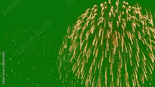 Wallpaper Mural Fireworks against green background for commercial backgrounds, digital design, and advertising Torontodigital.ca