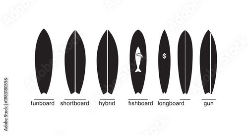 Surfboard types set including funboard shortboard hybrid fishboard longboard and gun silhouettes for surfing enthusiasts.
