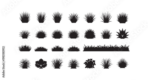 Collection of various ornamental grasses and shrubs in silhouette, representing diverse garden plants and landscaping elements.