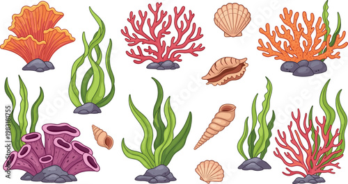 Underwater coral reef vector set with seaweed shells and marine plants colorful ocean bottom illustration collection