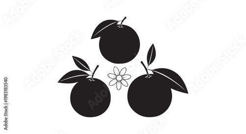 Three black oranges with leaves and one white flower icon, minimal citrus fruit and blossom vector illustration.