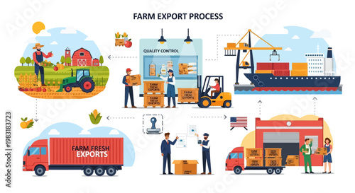 Illustrative diagram explaining the farm export process, detailing agricultural production, quality control, global shipping logistics, and international delivery of fresh produce