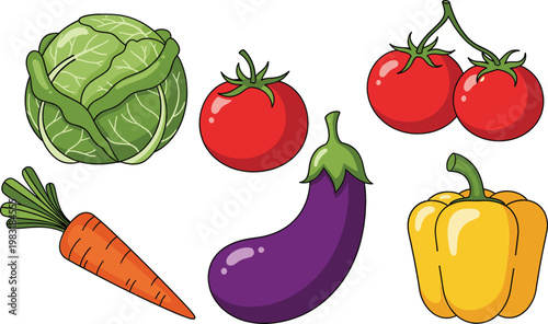 Vegetable vector set with cabbage tomato carrot eggplant and bell pepper fresh organic food illustration design
