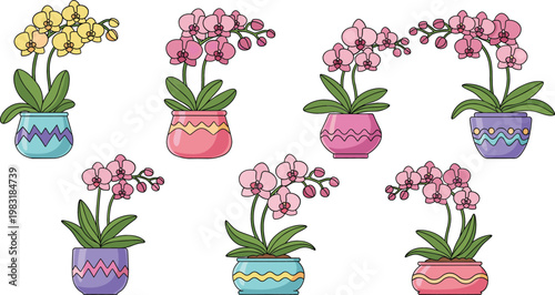 Orchid plants in colorful pots vector set with blooming flowers decorative indoor houseplants illustration collection design