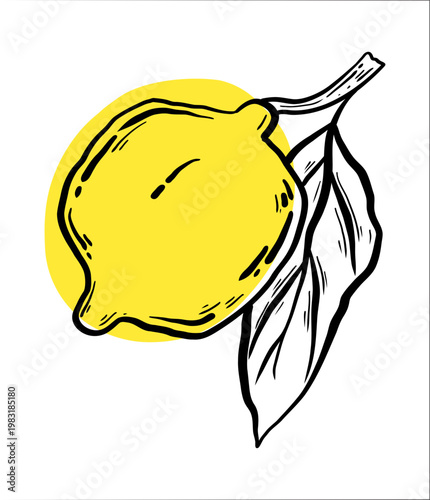 Minimalist hand drawn lemon fruit sketch. Single citrus icon for farm market branding, detox water recipe, minimalist kitchen poster and healthy lifestyle blog content.