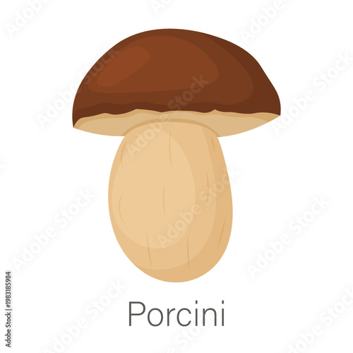 Vector cartoon image of a mushroom. Fresh autumn forest plant with stems and caps, isolated on a white background. Element for your design. Botany study.