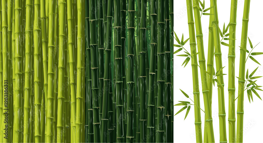 Fototapeta premium Set of Bamboo Stalks in Various Green Shades for Nature, Plants, and Garden Design Elements