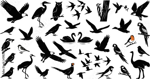 Generate a realistic kinds of deferent birds vector art silhouette with white background.
