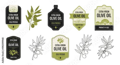 Collection of Decorative Labels for Extra Virgin Olive Oil and Olive Branch Illustrations