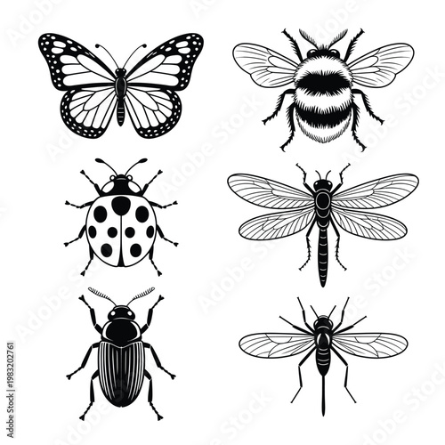 A collection of various insects in black and white illustration