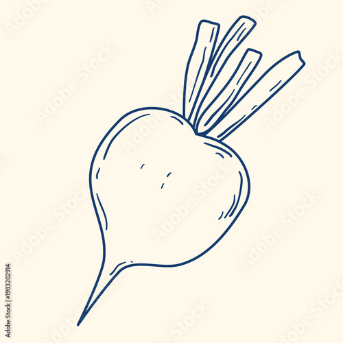 Beetroot hand drawn blue ink clip art. Root vegetable, single doodle style. Healthy organic food, nutritional product. Vector graphic