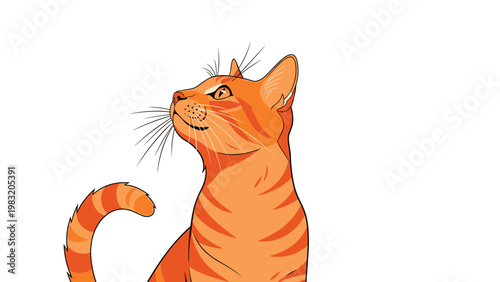 Portrait of a handsome orange tabby cat with detailed stripes and long whiskers looking upwards with curiosity.
