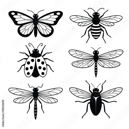 A collection of six black and white insect illustrations