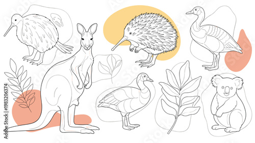 Comprehensive collection of black and white sketches of various australian animals and plants including a kangaroo koala and echidna.