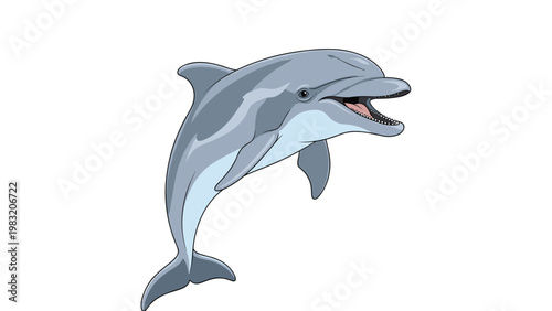 Detailed illustration of a grey dolphin leaping out of the water with its mouth open showing teeth on white background.