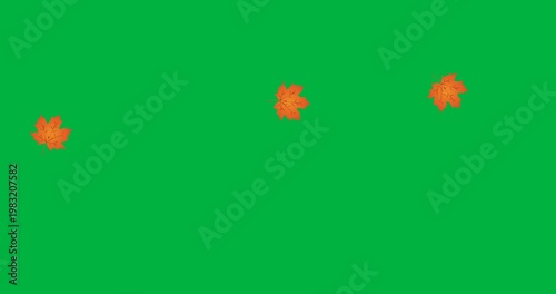 Digital animation of multiple autumn maple leaves floating against black background