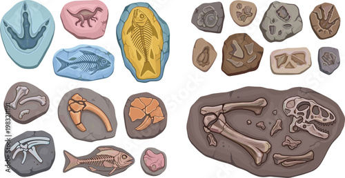 Fossil and Archaeology Icon Set with Dinosaur Bones Fish Skeletons Ancient Imprints and Prehistoric Remains Flat Vector Illustration Collection