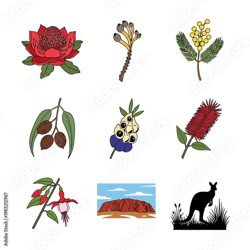 Australian Flora and Fauna Collage: Kangaroo, Uluru, Flowers, and Gum Nuts