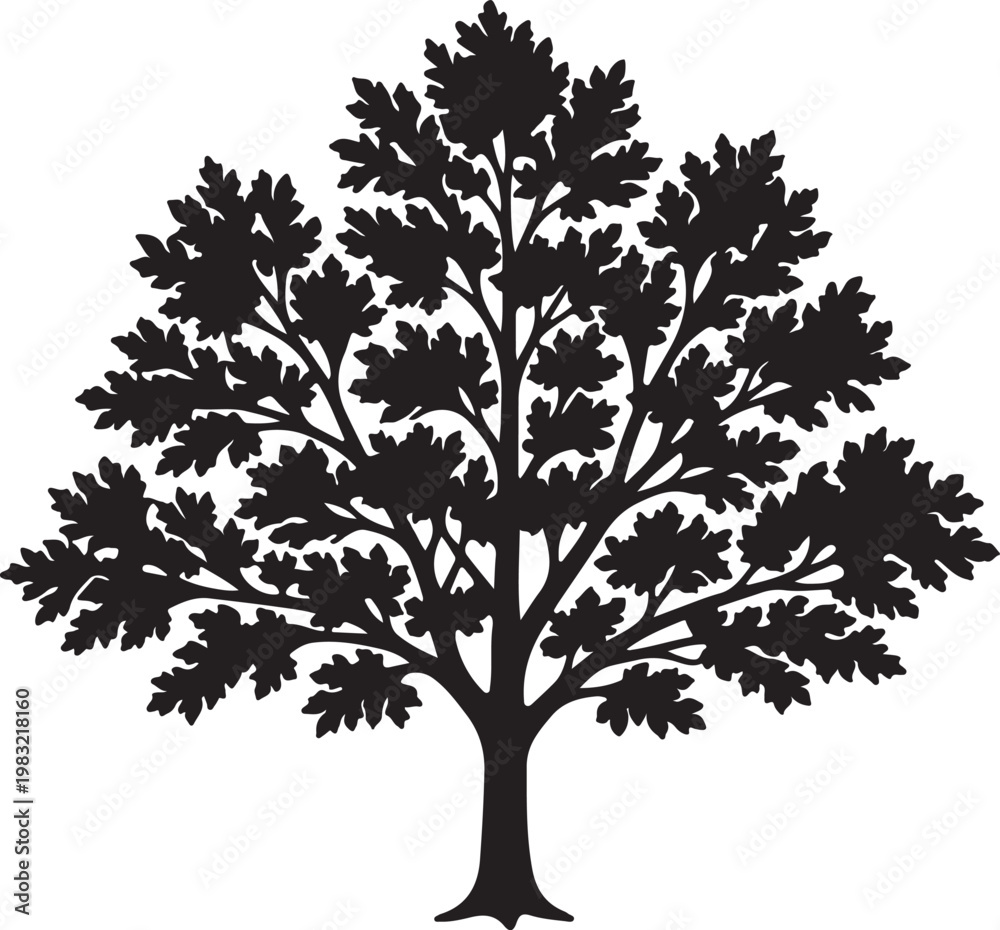 Fototapeta premium Maple Tree Silhouette