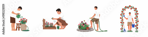 Set of flat illustrations featuring a man performing various rose gardening tasks like watering, spraying, and maintaining a rose arch in his backyard garden.
