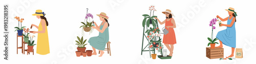 Set of illustrations depicting women caring for orchid plants, including watering, potting, spraying, and fertilizing in a flat design style.