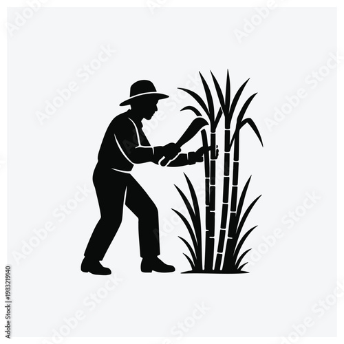 Silhouette of a farmer harvesting sugarcane.
