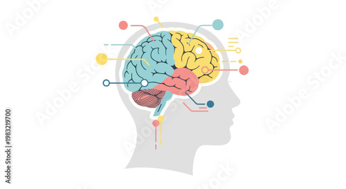 Brain Diagram with Connections and Data Points