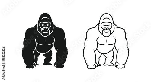 Gorillas Comparison: Mountain vs Lowland Primate Facts Vector