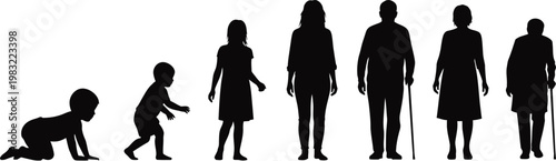 Human development stages a silhouette illustration of life's journey